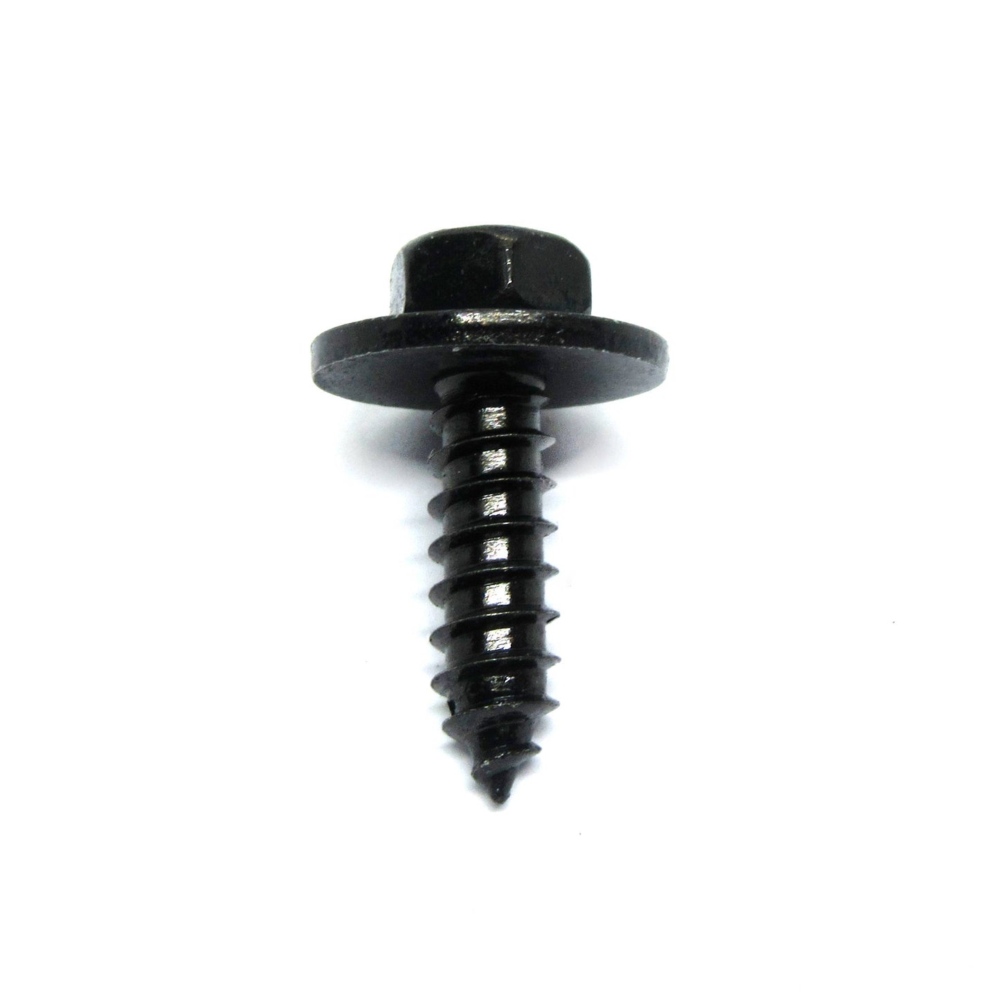 12g x 3/4 STS B 8mm Head