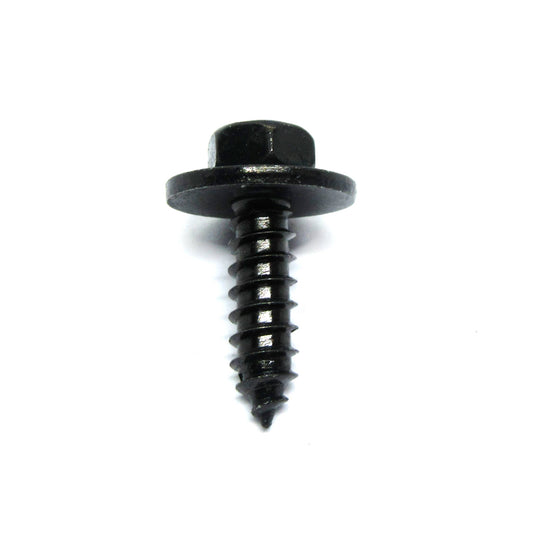 12g x 3/4 STS B 8mm Head