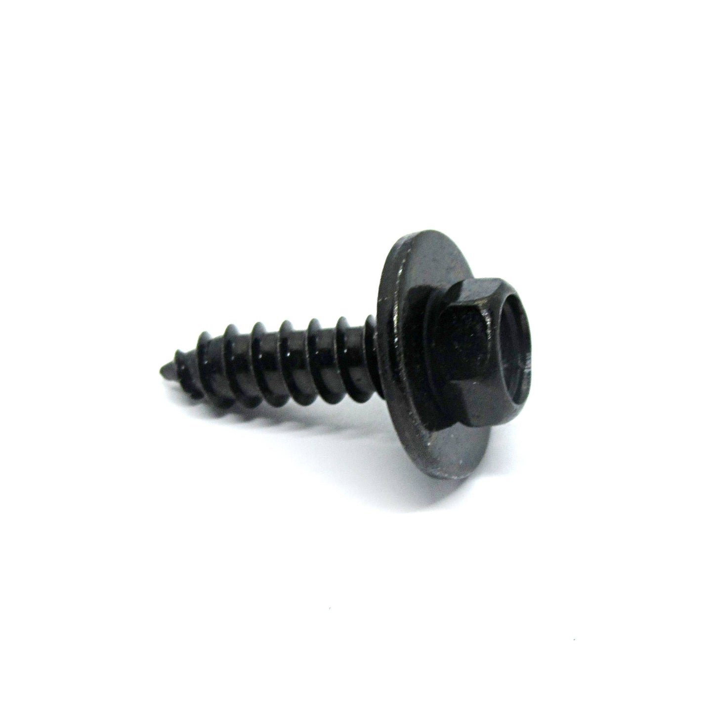 12g x 3/4 STS B 8mm Head